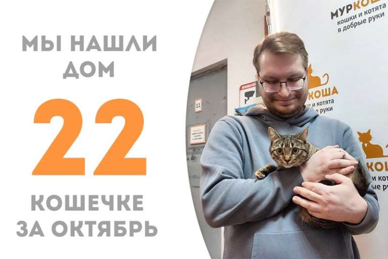 Очаровательная Фиттония нашла семью!