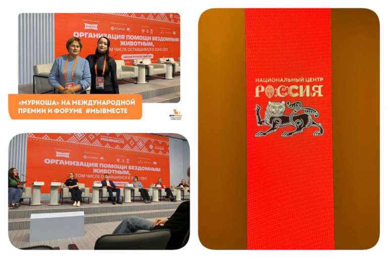 Международная премия и форум #МЫВМЕСТЕ