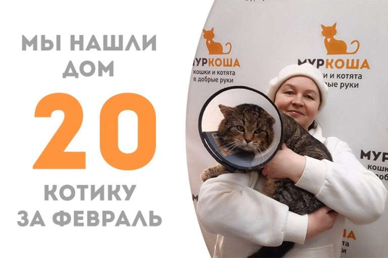 Месяц — и обаятельный Француз дома!