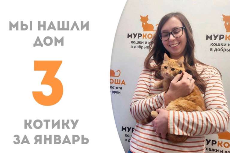 Меньше чем за 2 месяца лучезарный Франко стал домашним солнышком!