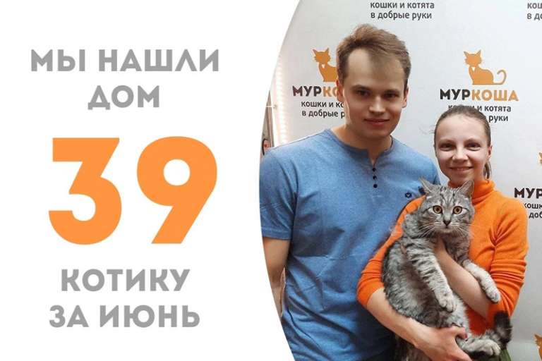 Фуршет пробыл с нами три недели и отправился к Луламее!