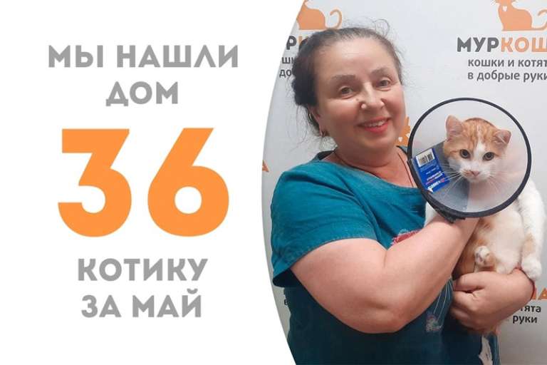 Гаврик уезжает домой спустя два месяца!