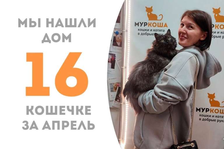 Грэйни повстречала своего человека!