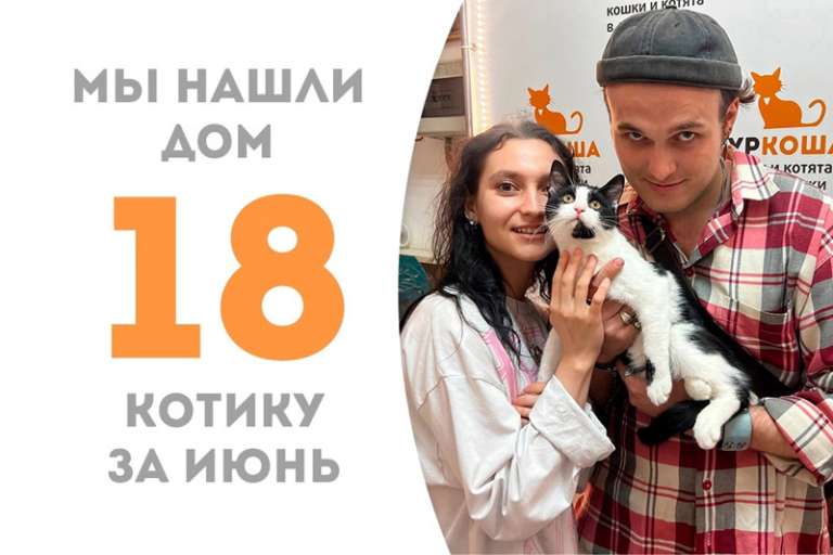Умняшка Инженер отправился домой, пробыл в приюте чуть больше двух месяцев!
