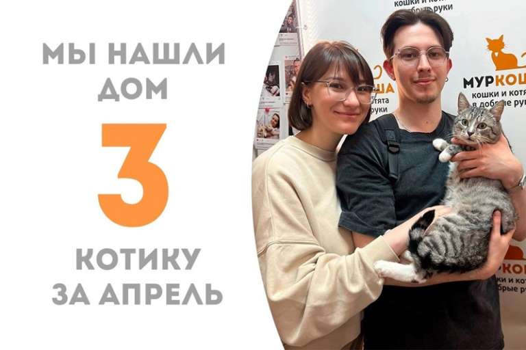 Чудесный Касл становится домашним пирожочком!