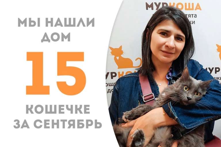 Мурлыка Кеси обрела дом всего лишь за полтора месяца!