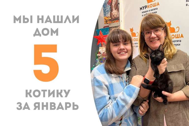 Хачапурик-дорогулик стал счастливчиком всего лишь за полтора месяца!