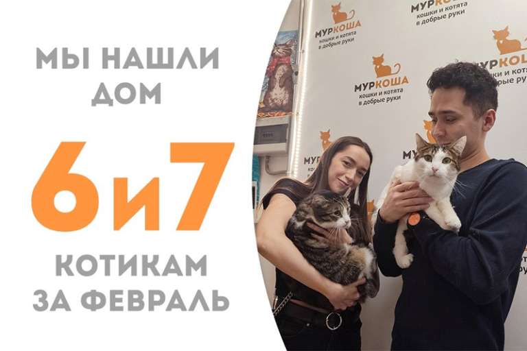 Волшебная парочка Хариус и Фариус дома!