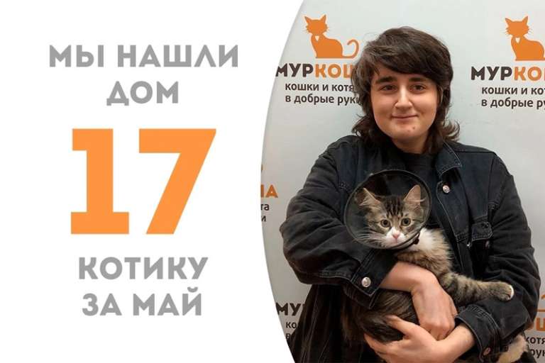 Очаровательный Хелас повстречал своего человека!