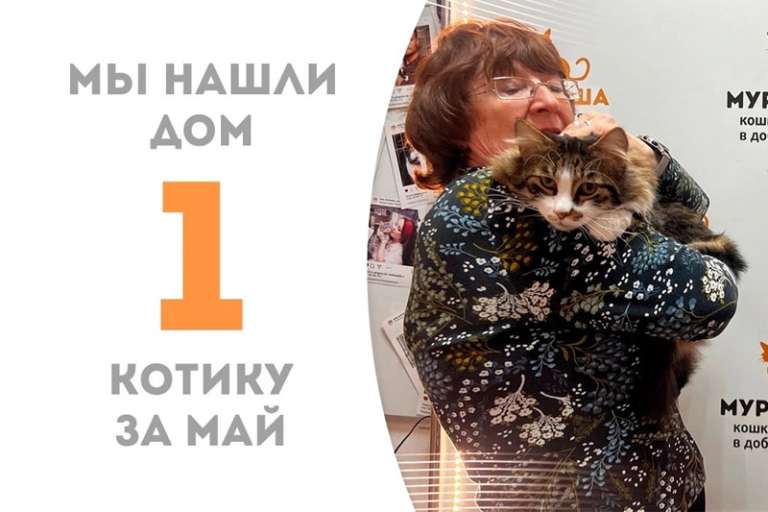 Обаятельный Хитченс уезжает к Потягушу!