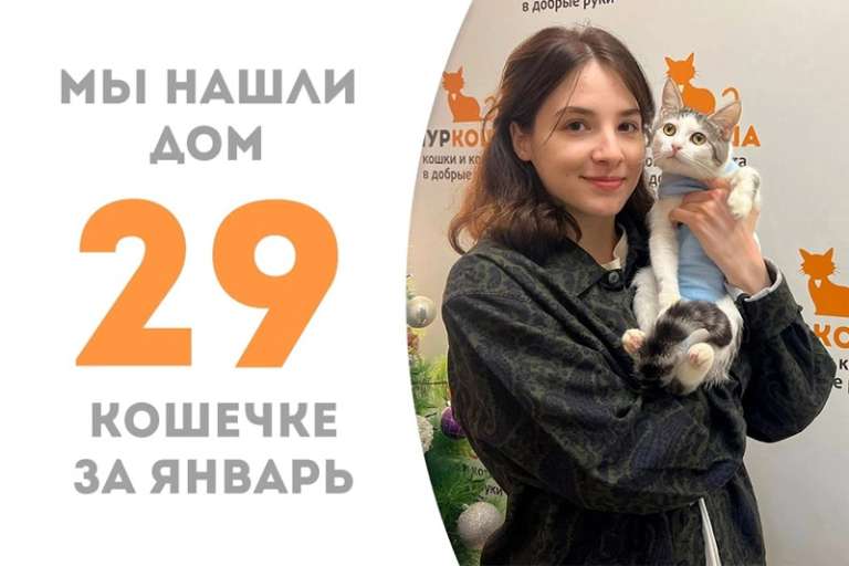 Всего две недели провела в приюте Кица, а уже стала домашней!