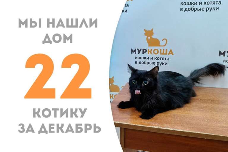 Фотогеничный Киллиан обрел дом и любящую семью!