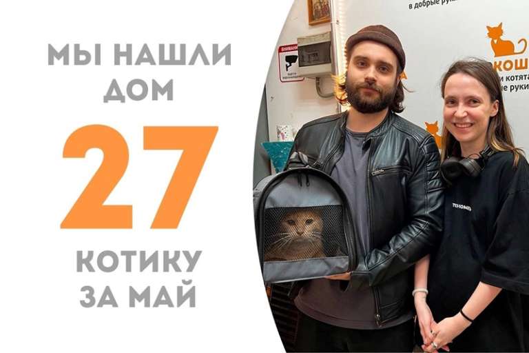 Рыжий Кирпичик уехал в новый дом!