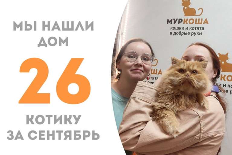 Брутальный Коллин уезжает домой, где его уже ждут Ромка, Техас и Райя!