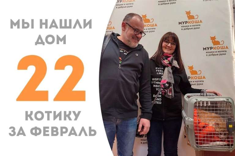 Чуть больше трех месяцев понадобилось Коловрату, чтобы обрести семью!