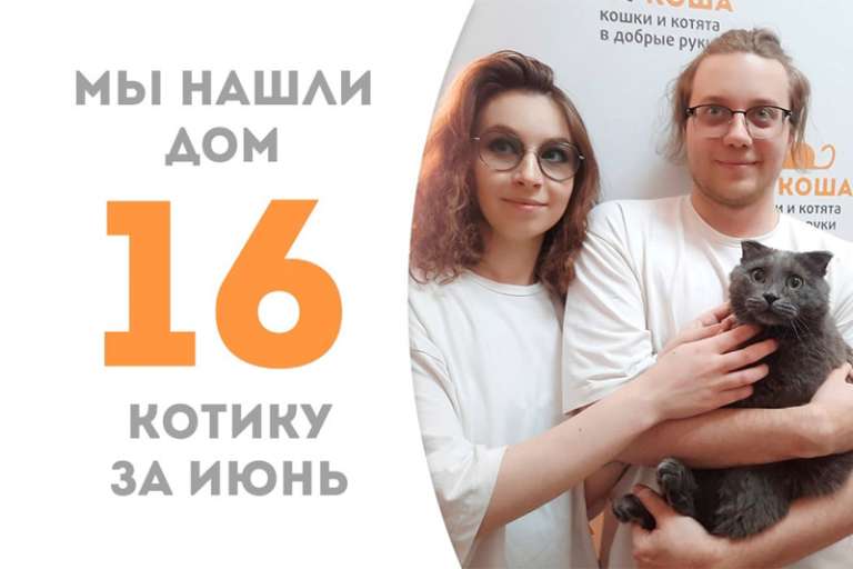 Всего за два месяца Комфортик нашел семью!