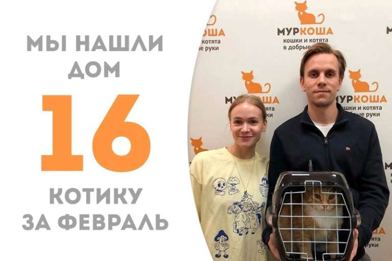 Солнечный Леонайд, не успев опомниться, уезжает домой!