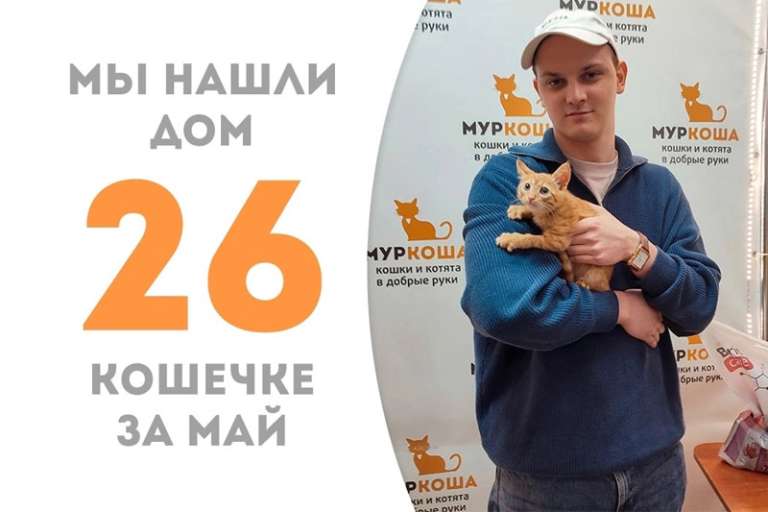 Лучиолла стала домашней всего за месяц!
