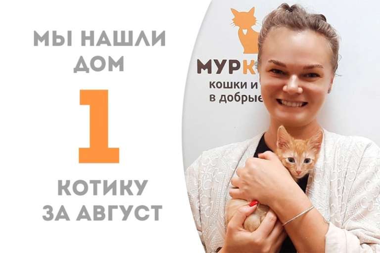 Лучок становится домашним меньше, чем за один месяц!