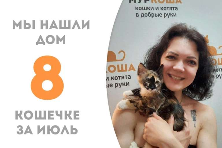 Макиато меньше чем за месяц стала домашней!