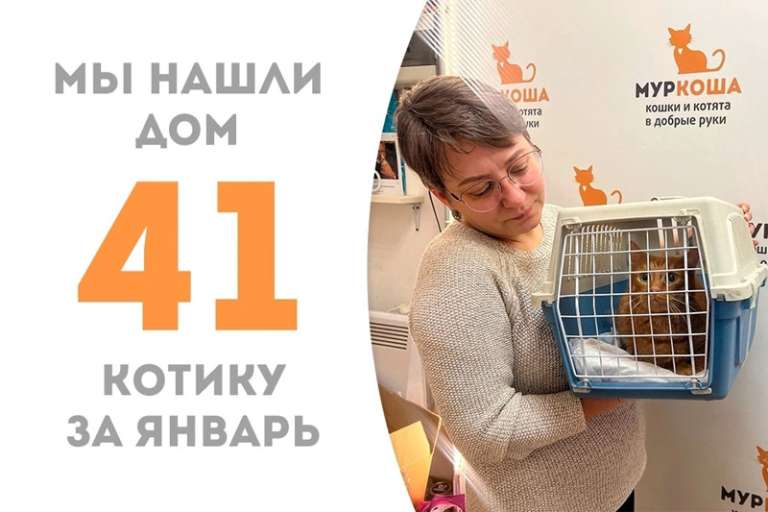 Макинтош уехал домой меньше чем за два месяца!