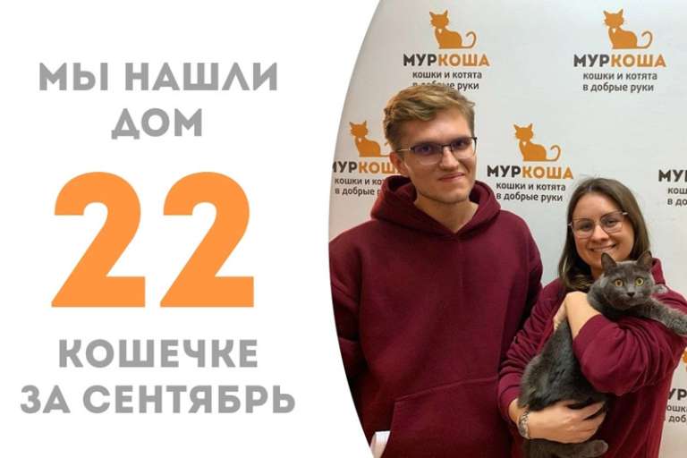 Дымчатая кошка Марусик стала домашней!