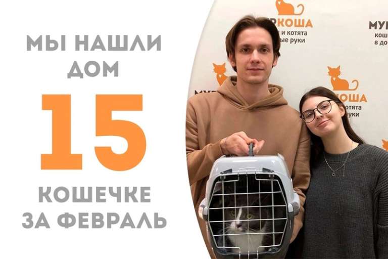 Эффектная Мидка покорила сердца хозяев!