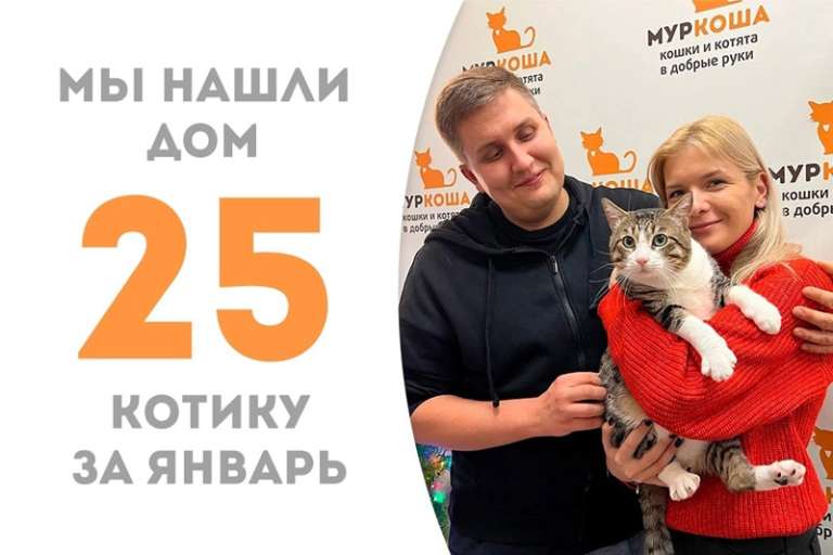 Микелон вновь обретает дом!