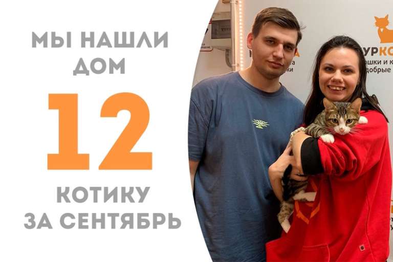 Чуть больше месяца понадобилось Мишустику, чтобы стать домашним!