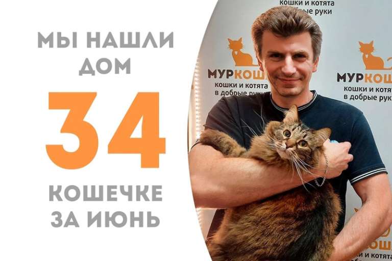 Очаровательная Мисс Мявочка уезжает к Лине!