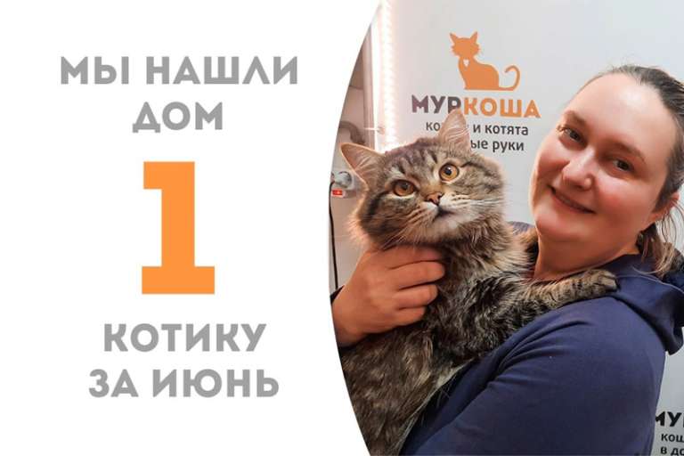Прекрасный Моби — наш первый летний счастливчик!