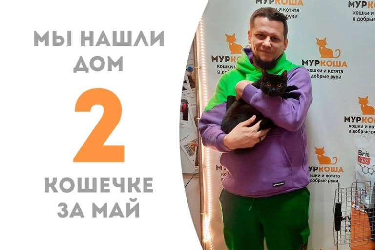 Мокка повстречала своего человека!