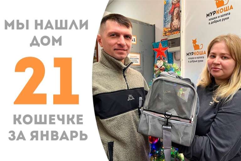 Расписная красавица Молекула стала домашней любимицей!