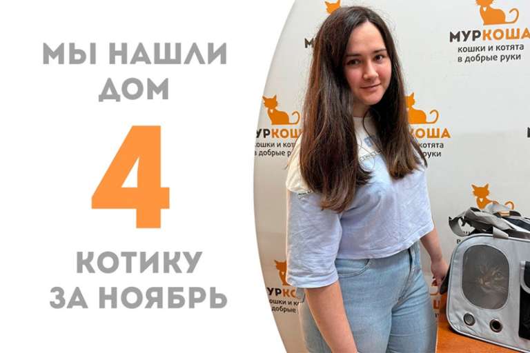 Позитивный богатырь Монблан обрел дом!
