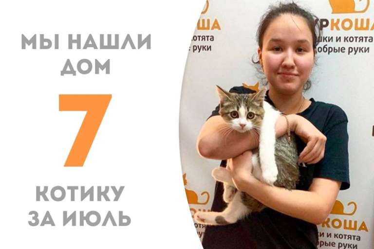Монталь всего за полтора месяца обрел семью!