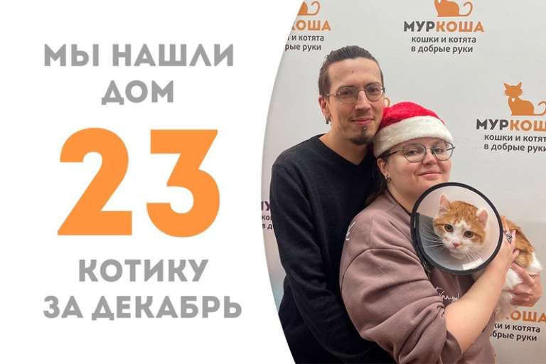 Котец Мудрец нашел дом любовью ведом!