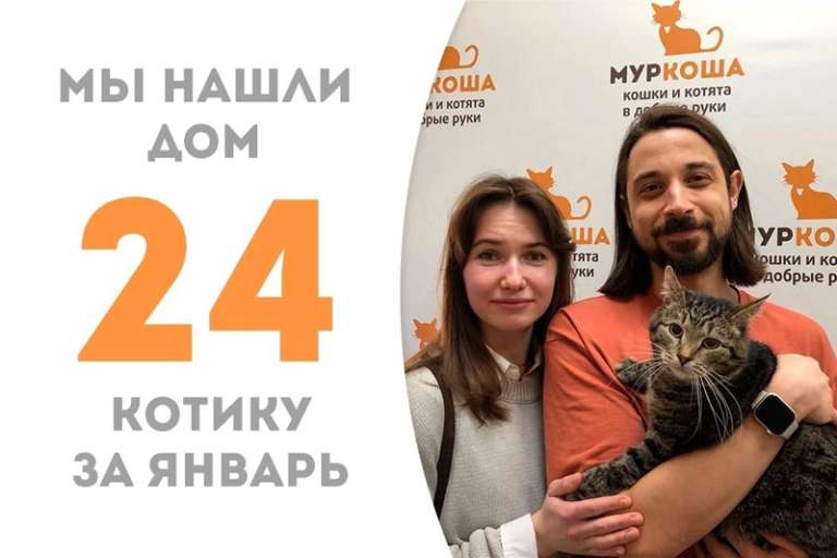 Муравчик становится домашним котофеем!