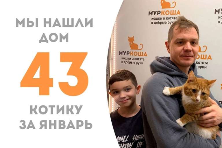 Чуть больше 2 месяцев прошло, а Мякишун успел стать домашним!