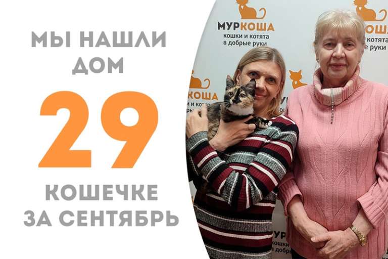 Уютный дом сегодня встречает выпускницу Нимберу!