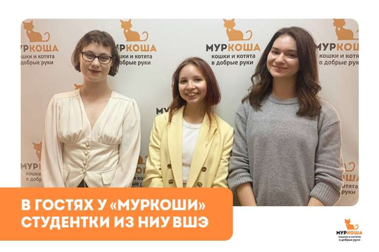 Гости "Муркоши". Студентки из НИУ ВШЭ