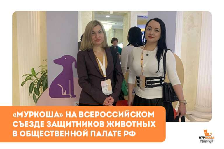 «Муркоша» на Всероссийском съезде защитников животных в Общественной палате РФ