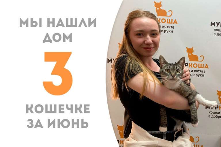 Окинава попрощалась с приютом, отправляясь домой!
