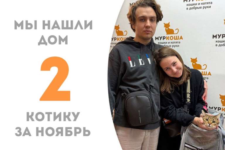 Шустрый плут Оксик уезжает домой!