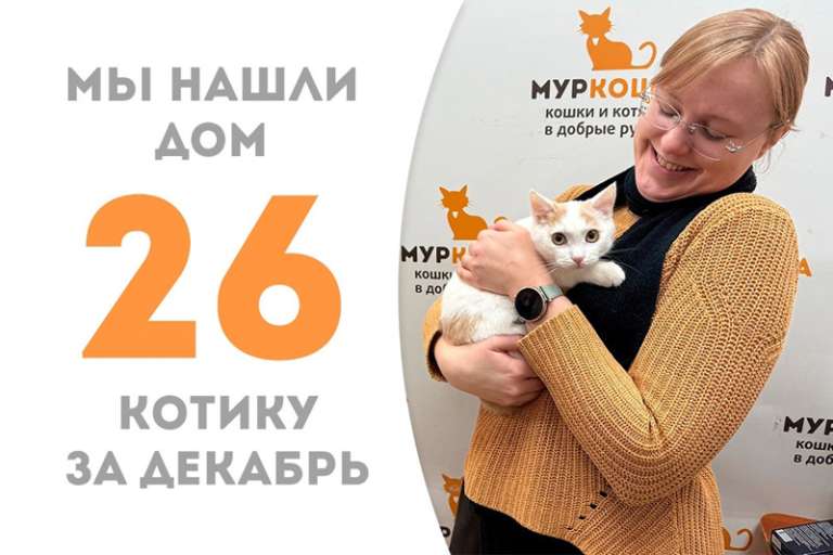Стал домашним нежный котенок Ощепик!