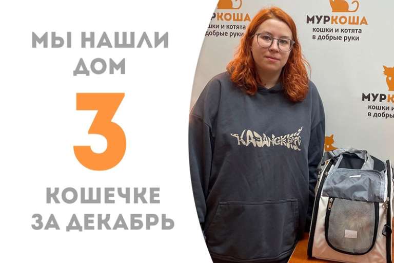 Жизнерадостная Палитра нашла дом!