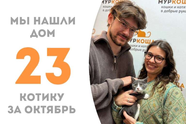 Месяц с небольшим понадобился Паруснику, чтобы стать домашним!