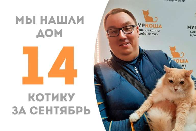 Мудрый котик Персивальд обрел дом!