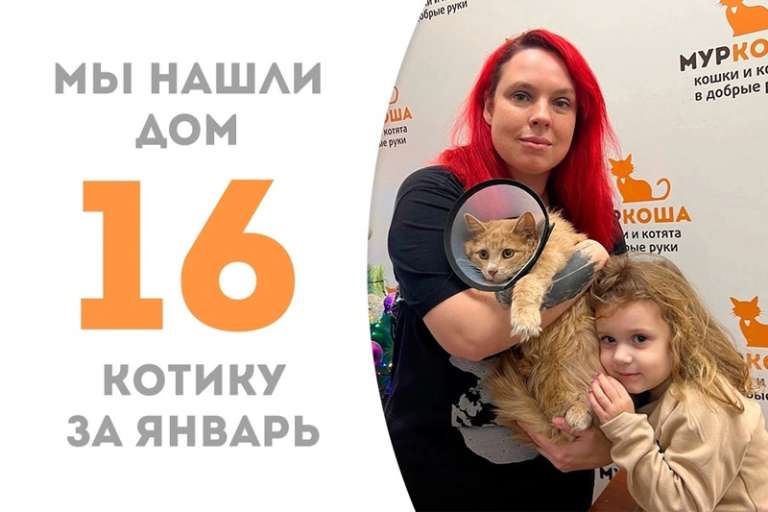 Солнышко Пич нашел семью спустя полтора месяца!