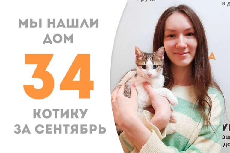 Котенок Подорожник обрел дом!