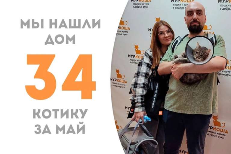 Ридли нашел своих людей меньше чем за два месяца!